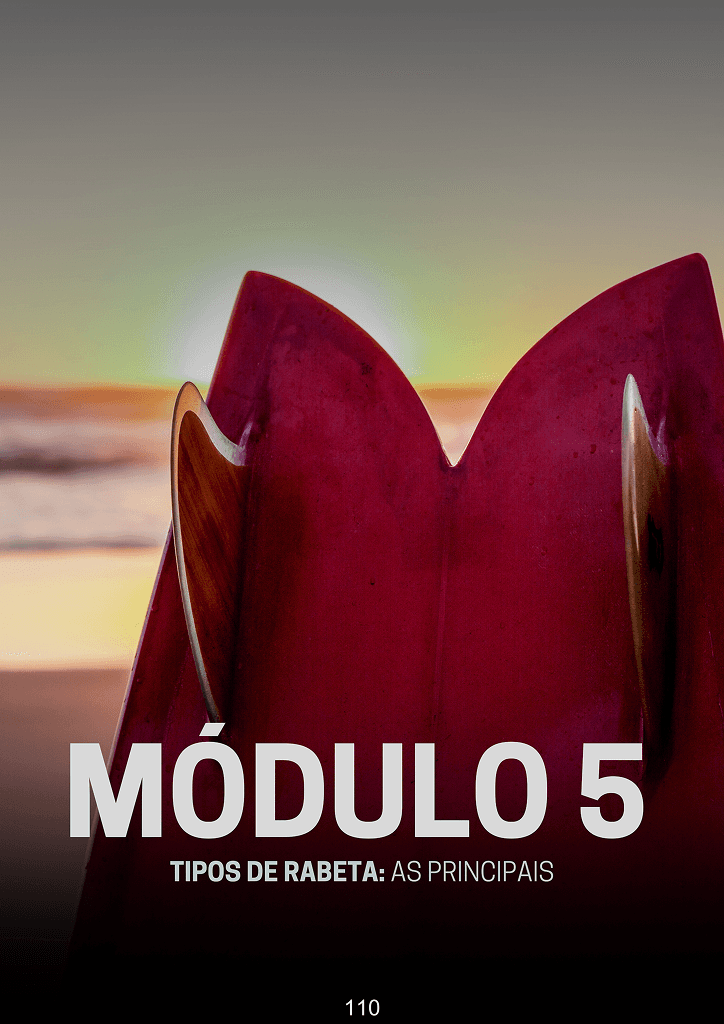 Módulo 5