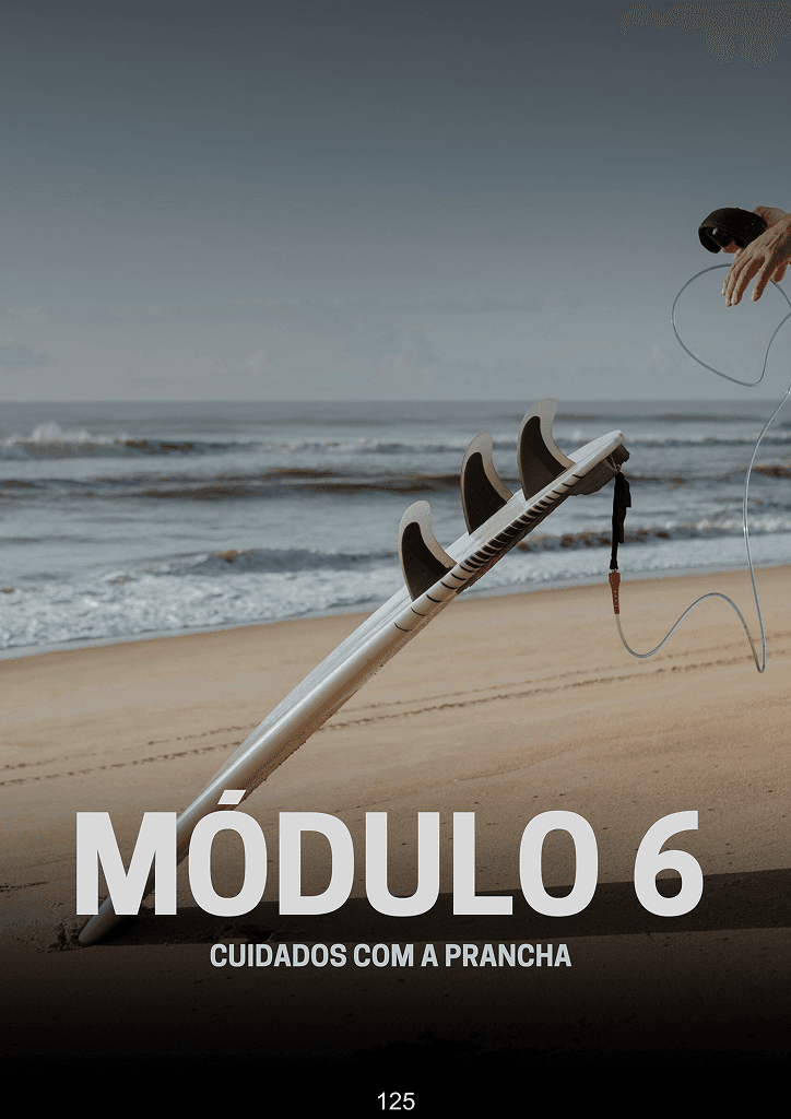 Módulo 6
