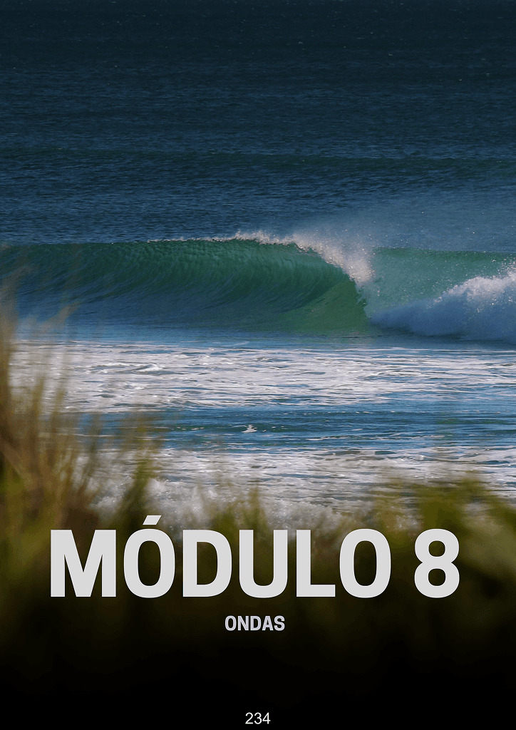 Módulo 8